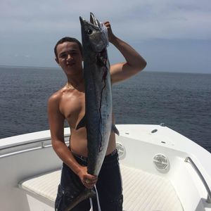 Meet your Posher, Hayden